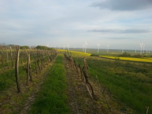 20150423_185549